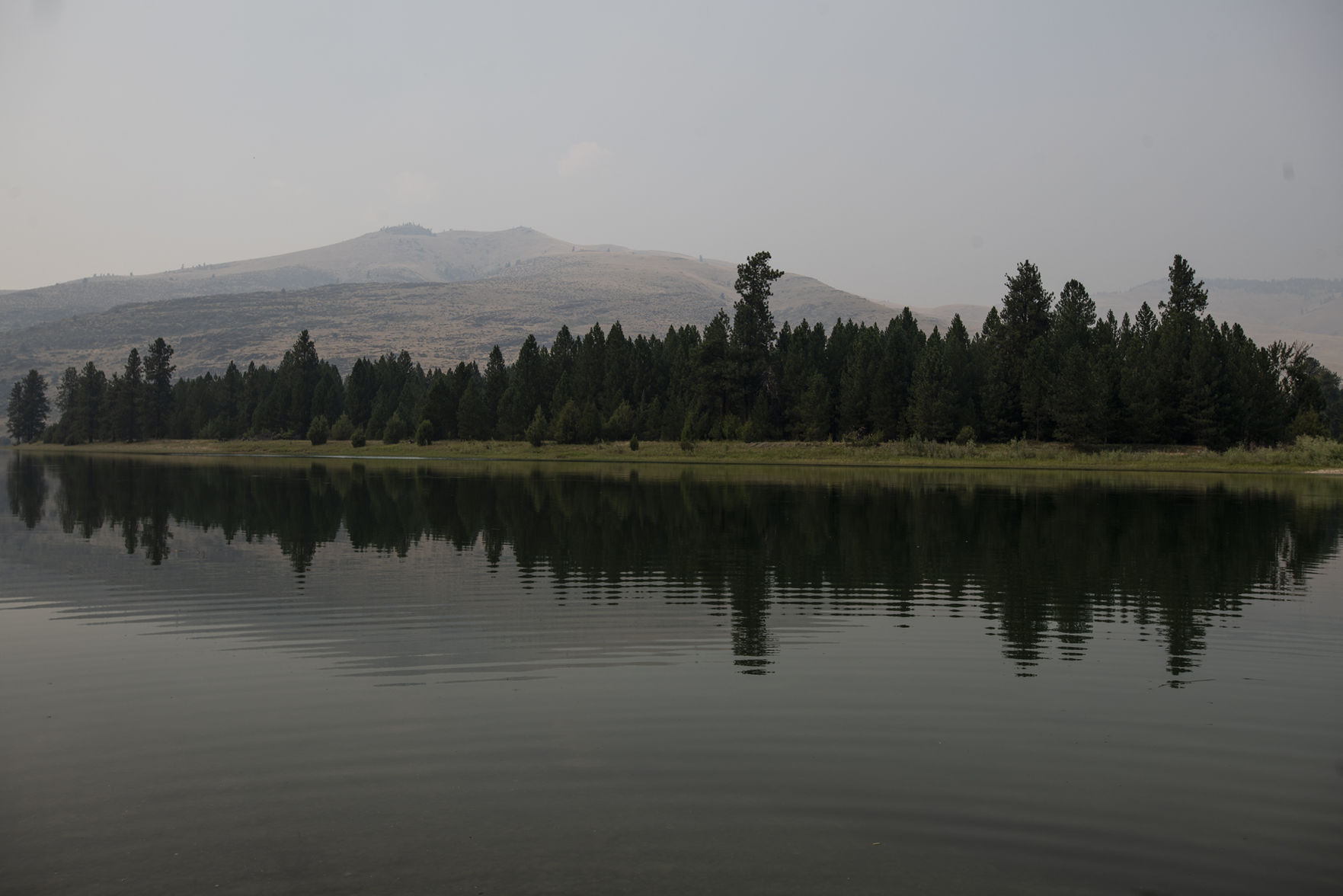 North side of Flathead River covered in smoke